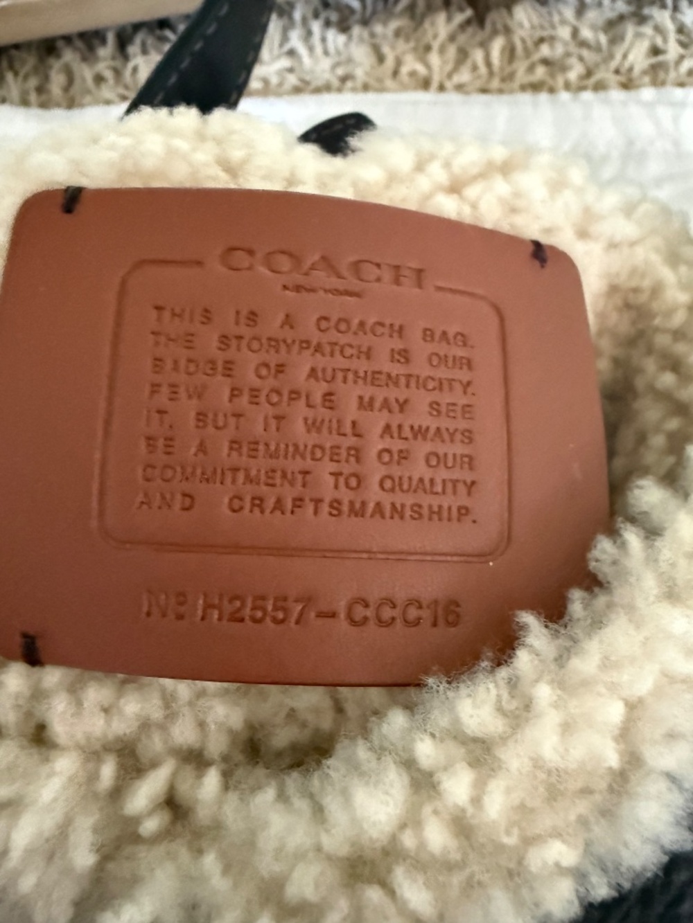 Coach Brooklyn 28 Shearling Leather Shoulder Bag Black Pouch Dust Bag NWT - Picture 4 of 14